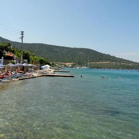 Apartament Torba Residence Torba