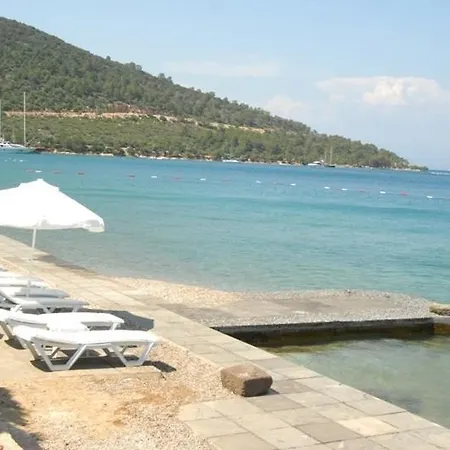 Torba Residence Apartment *